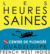 Logo_Les_Hueres_Saines