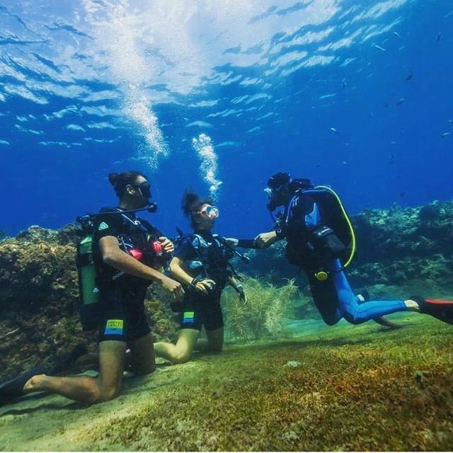 Formation du niveau 1 de plongée au monitorat - guadeloupe