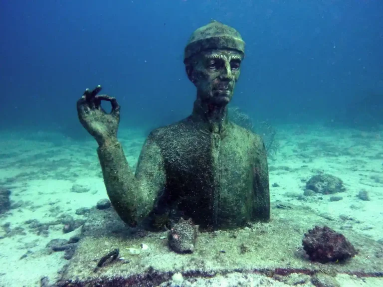 Buste Cousteau - Ilets Pigeon - Réserve Cousteau - Guadeloupe