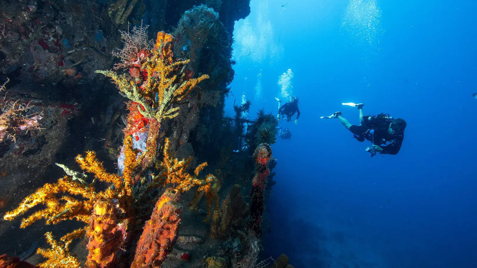 Plongée Guadeloupe dans la Réserve Cousteau
