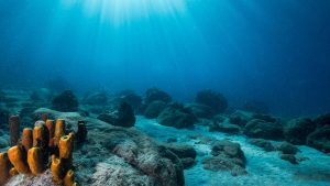 La_piscine_les_heures_saines Ilets Pigeon - Spot de plongée - La piscine